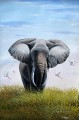 Bull Elephant aus Afrika